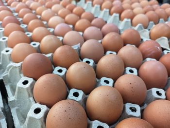 Close-up of eggs in row