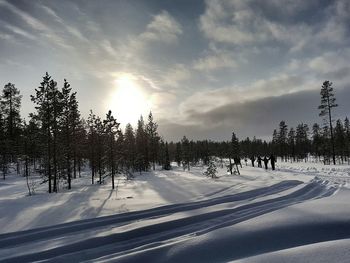 Trees on snow covered landscape against sky