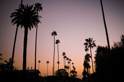 Low angle view of silhouette palm trees against sky at sunset