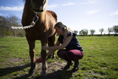 Woman brushing horse while crouching on grassy field during sunny day