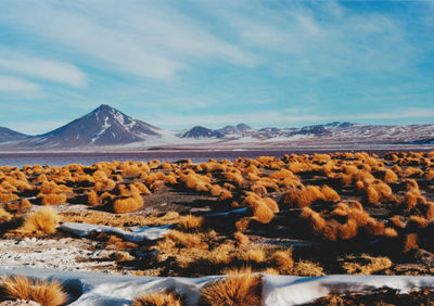 Scenic view of desert against sky