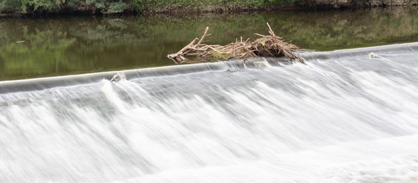 Scenic view of waterfall