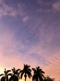 Low angle view of palm trees against sky during sunset