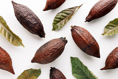 Cacao fruits on white background