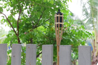 Wooden post by plants in yard