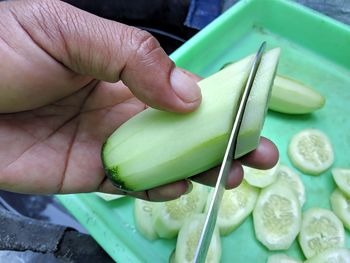 High angle view of hand holding leaf