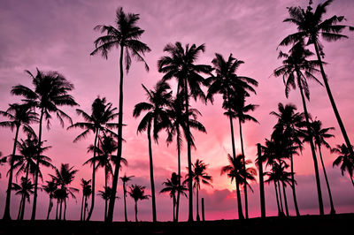 Silhouette palm trees against sky at sunset