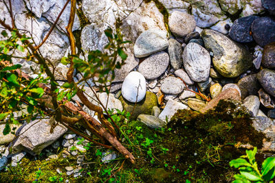 Close-up of stone on rock