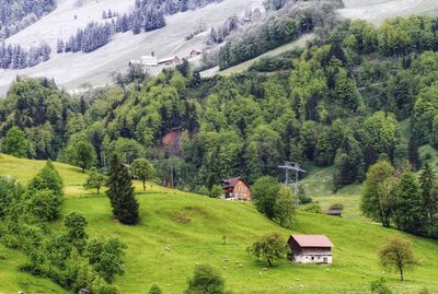 Scenic view of trees and houses on landscape