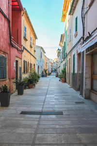 Narrow alley amidst buildings in town
