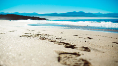 Scenic view of beach against clear blue sky