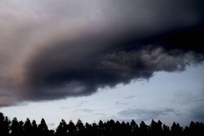 Low angle view of trees against cloudy sky