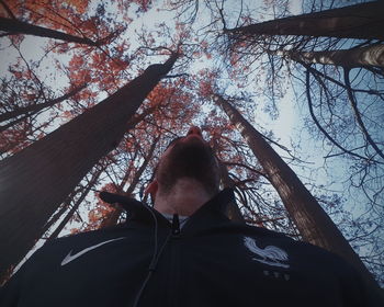Low angle view of man on bare tree