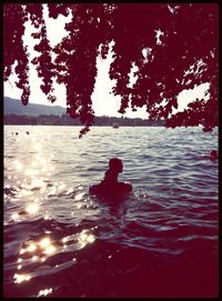Reflection of trees in water