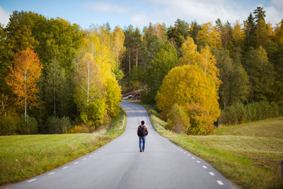Rear view of man riding bicycle on road