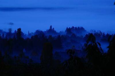 Silhouette trees in forest against sky at night