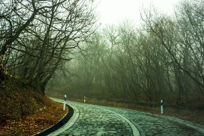 Road amidst trees in forest