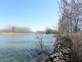 Scenic view of lake against clear sky