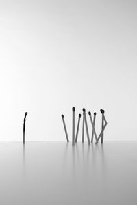 Row of wood against white background