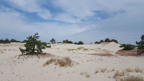 Scenic view of desert against sky