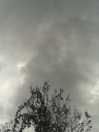 Low angle view of bare tree against cloudy sky
