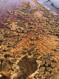 High angle view of water flowing through land