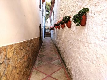 High angle view of narrow walkway along walls