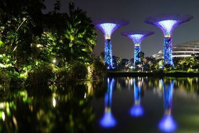 Reflection of trees in water at night