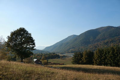 Scenic view of field against clear sky