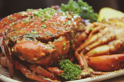 Close-up of seafood in plate