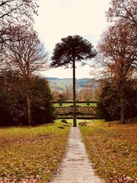 Trees on field against sky during autumn
