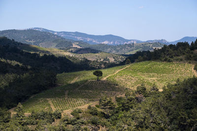 High angle view of trees and mountains against clear sky