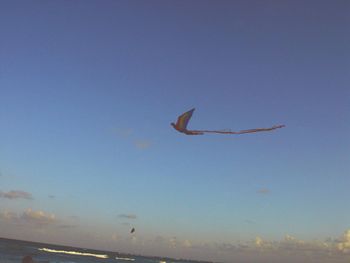 Airplane flying over clear sky