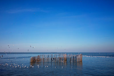 horizon
