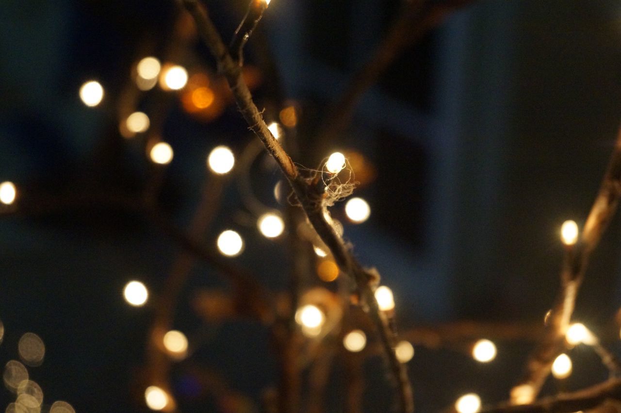 LOW ANGLE VIEW OF ILLUMINATED CHRISTMAS LIGHTS AGAINST SKY