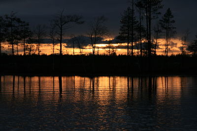 Silhouette trees in front of calm lake at sunset