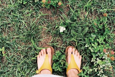 Low section of person standing on grassy field