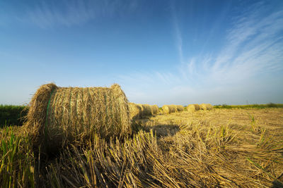 Hay bales on field against sky