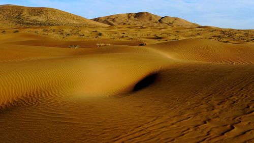 Sand dunes in desert against sky