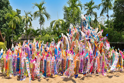 Panoramic view of people on palm trees against clear sky