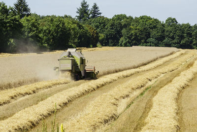 Combine harvester harvesting on field