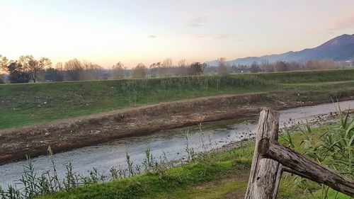 Scenic view of field against sky