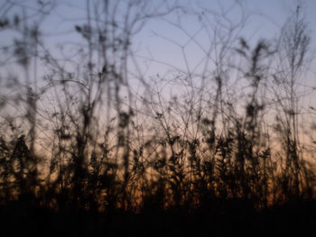 Scenic view of field against sky at sunset