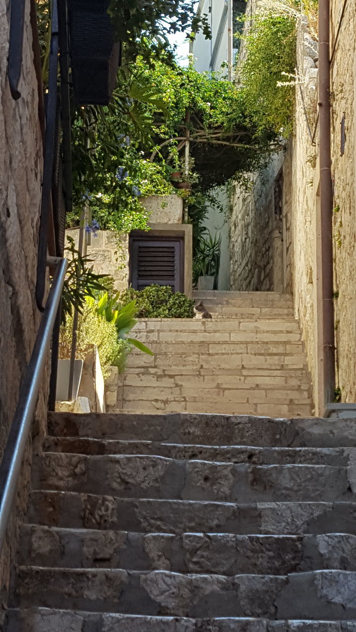 STAIRCASE AMIDST BUILDING