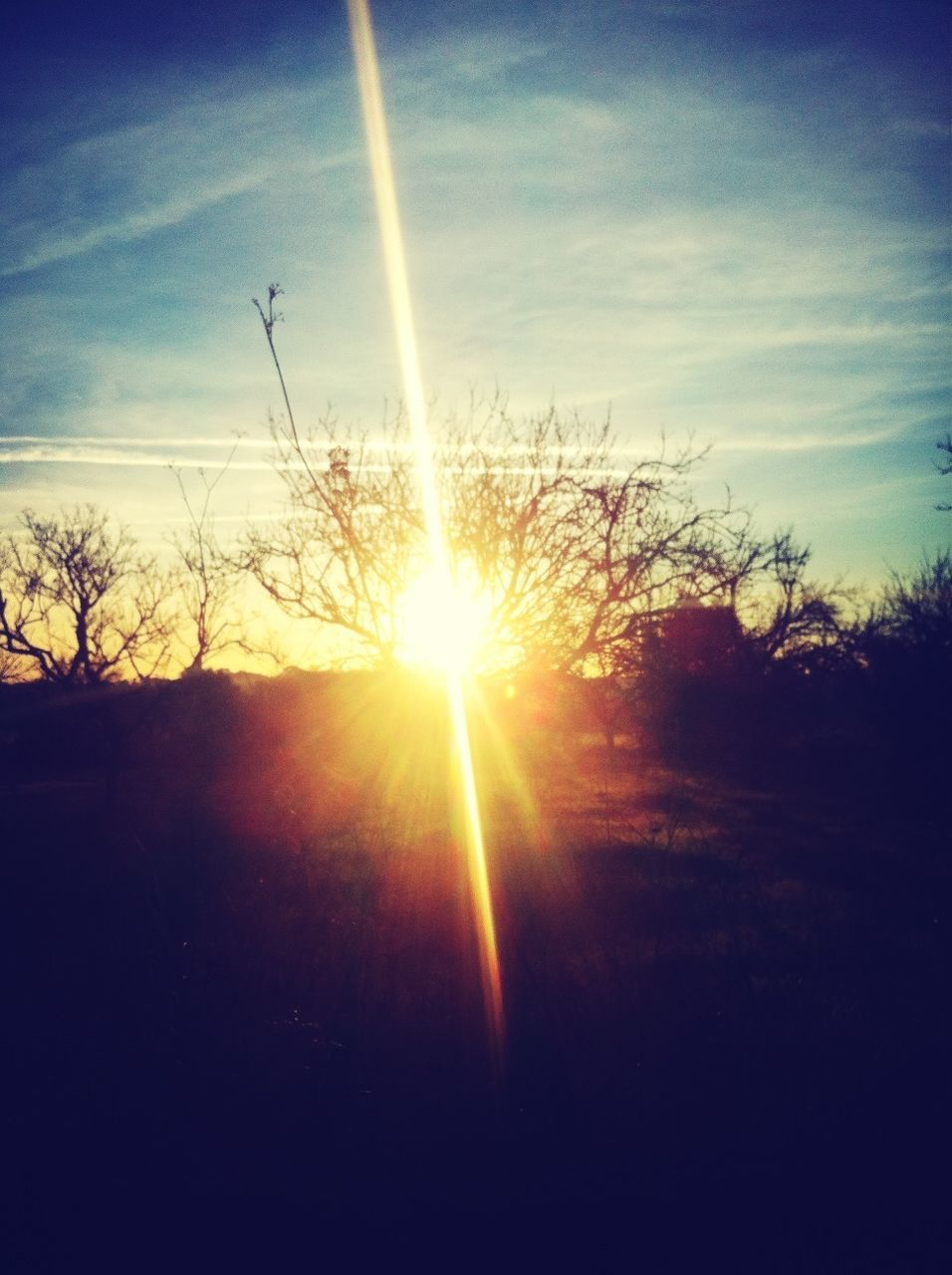 sun, sunbeam, sunset, silhouette, sunlight, sky, tranquility, tranquil scene, lens flare, scenics, beauty in nature, landscape, nature, tree, bare tree, cloud - sky, field, back lit, idyllic, bright