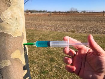 Cropped hand injecting tree trunk on field