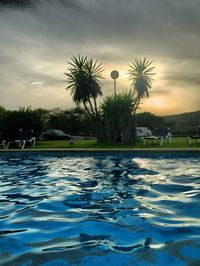 Reflection of palm trees in water