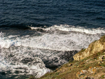 Photo of the rocky coast overgrown with green grass and sea.