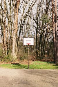 View of basketball hoop against trees