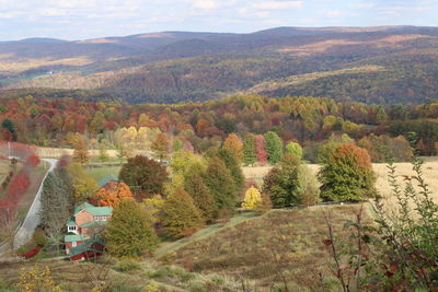 High angle view of trees on mountain during autumn